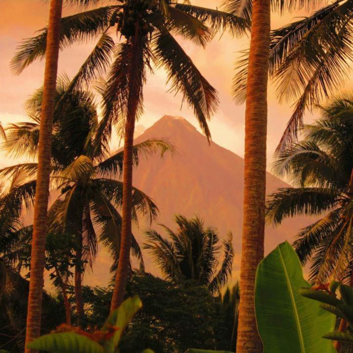 Balay De La Rama Bed & Breakfast Legazpi City Exteriör bild
