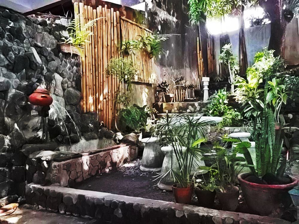 Balay De La Rama Bed & Breakfast Legazpi City Exteriör bild
